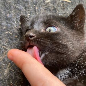 Meet your Posher, Meaghan